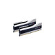 G.Skill DIMM 32 GB DDR5-6000 (2x 16 GB) Dual-Kit, Arbeitsspeicher(silber, F5-6000J3636F16GX2-TZ5S, Trident Z5, INTEL XMP)