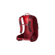Gregory Maya 20, Rucksack(dunkelrot, 20 Liter )