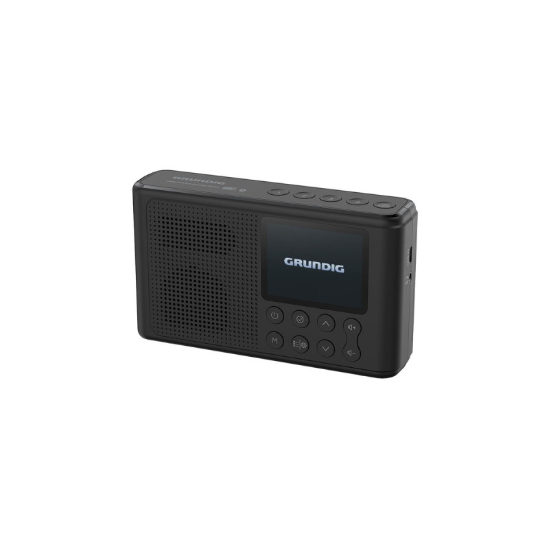 Grundig Music 6500, Radio(schwarz, Bluetooth, Klinke)