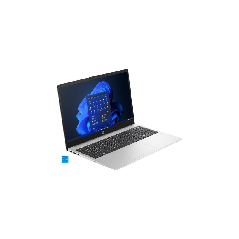 HP 250 G10 (816G1EA), Notebook(silber, Windows 11 Pro 64-Bit, 39.6 cm (15.6 Zoll), 512 GB SSD)