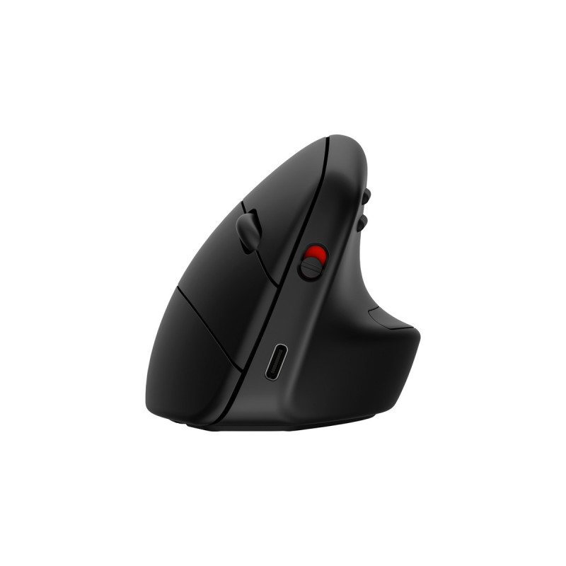 HP 920 Ergonomische Wireless-Maus(schwarz)
