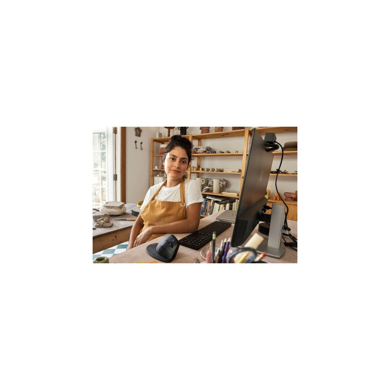 HP 920 Ergonomische Wireless-Maus(schwarz)