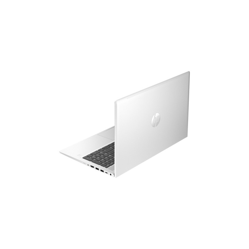 HP ProBook 455 G10 (816J7EA), Notebook(silber, Windows 11 Pro, 39.6 cm (15.6 Zoll), 256 GB SSD)