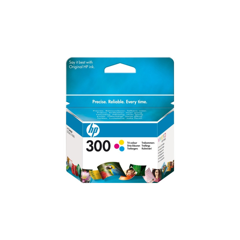 HP Tinte dreifarbig Nr. 300 (CC643EE)(Retail)