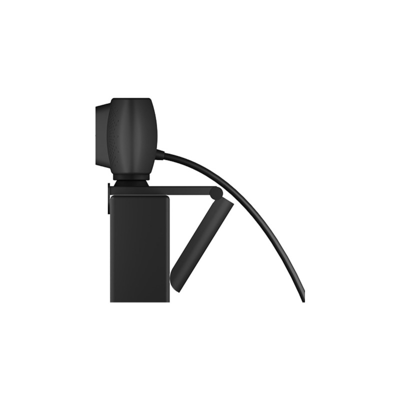 ICY BOX IB-CAM301-HD, Webcam(schwarz)