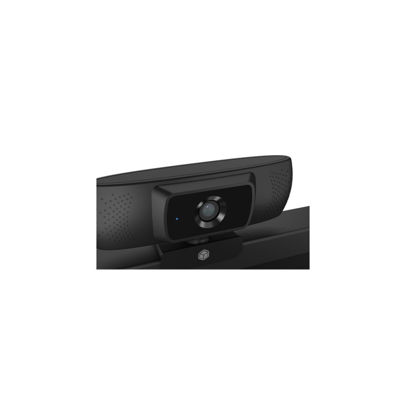 ICY BOX IB-CAM301-HD, Webcam(schwarz)