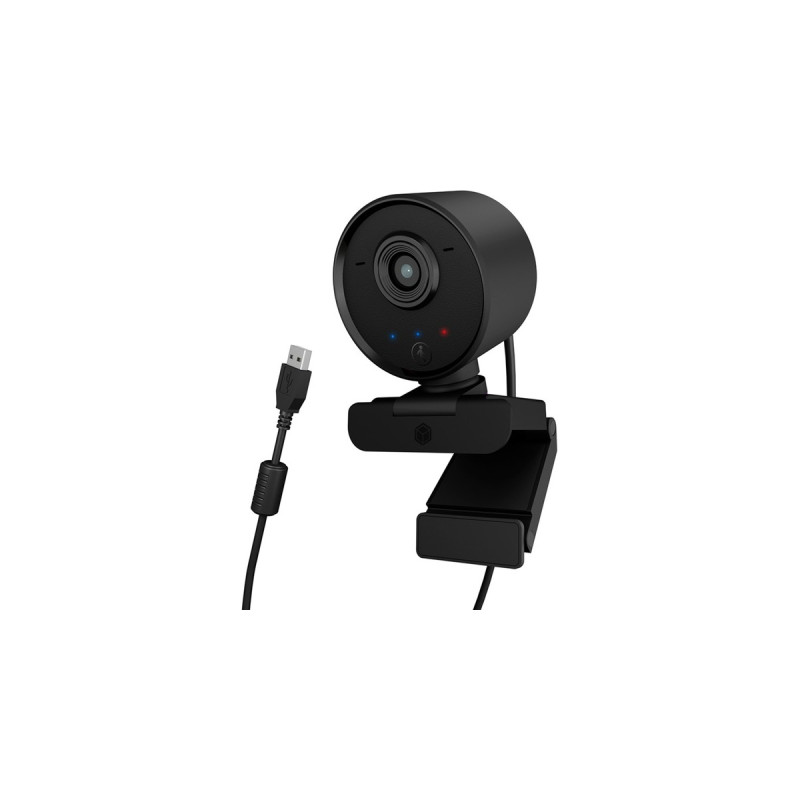 ICY BOX IB-CAM502-HD, Webcam(schwarz)