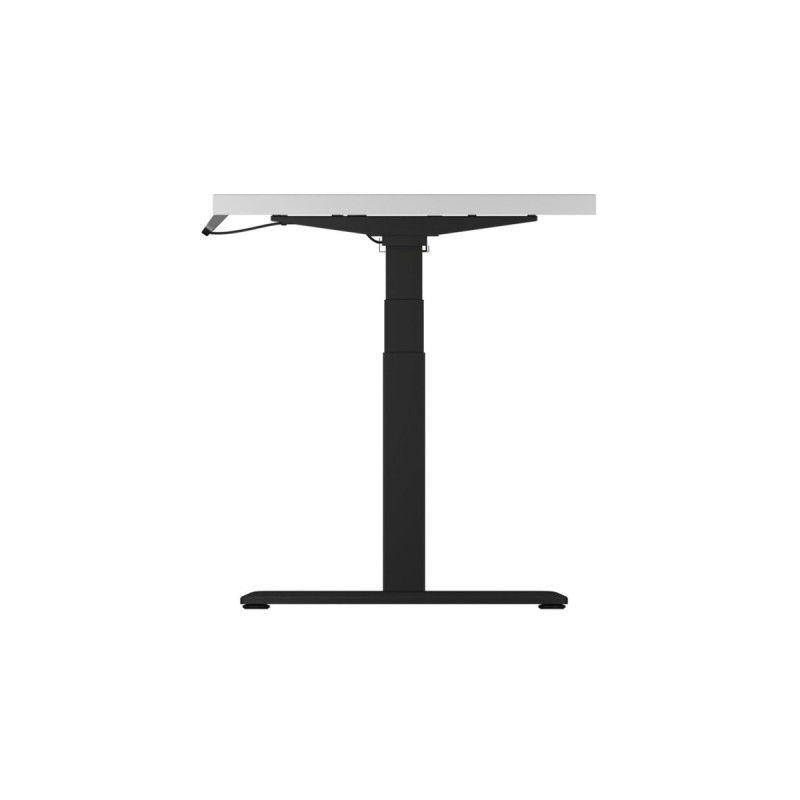 ICY BOX IB-EW205B-T 60866, Untergestell(schwarz)