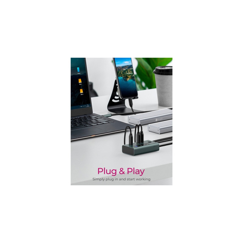 ICY BOX IB-HUB1454-C31, USB-Hub