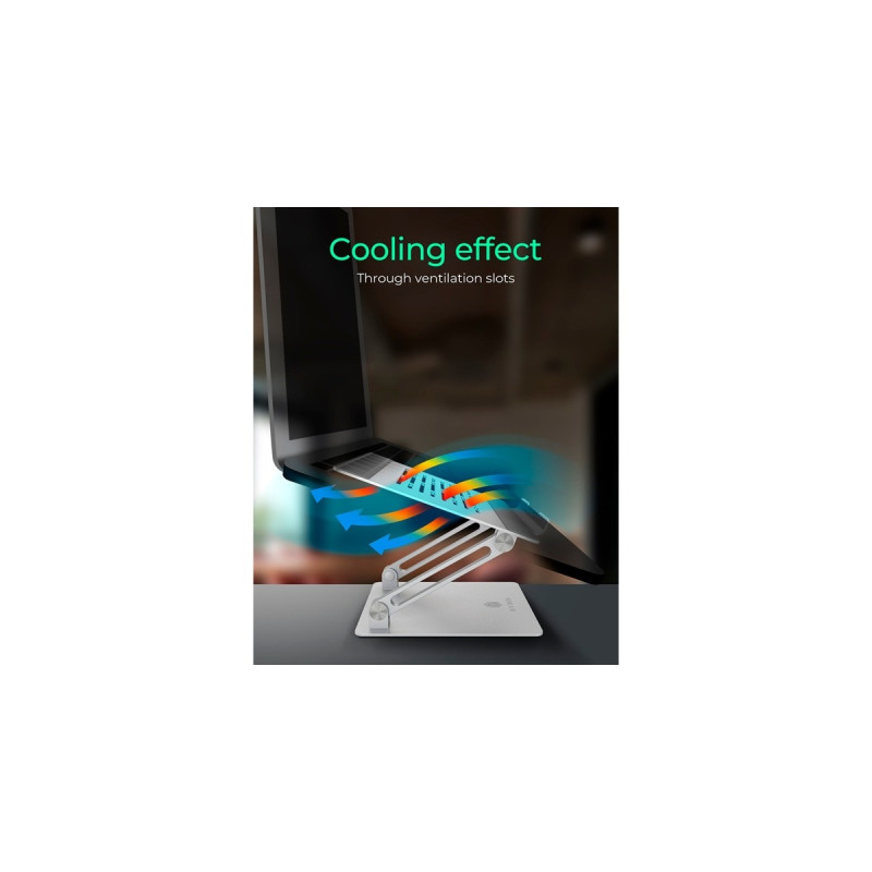 ICY BOX IB-NH300, Ständer(grau)