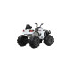 Jamara Ride-on Protector Quad, Kinderfahrzeug(weiß, 12 V)