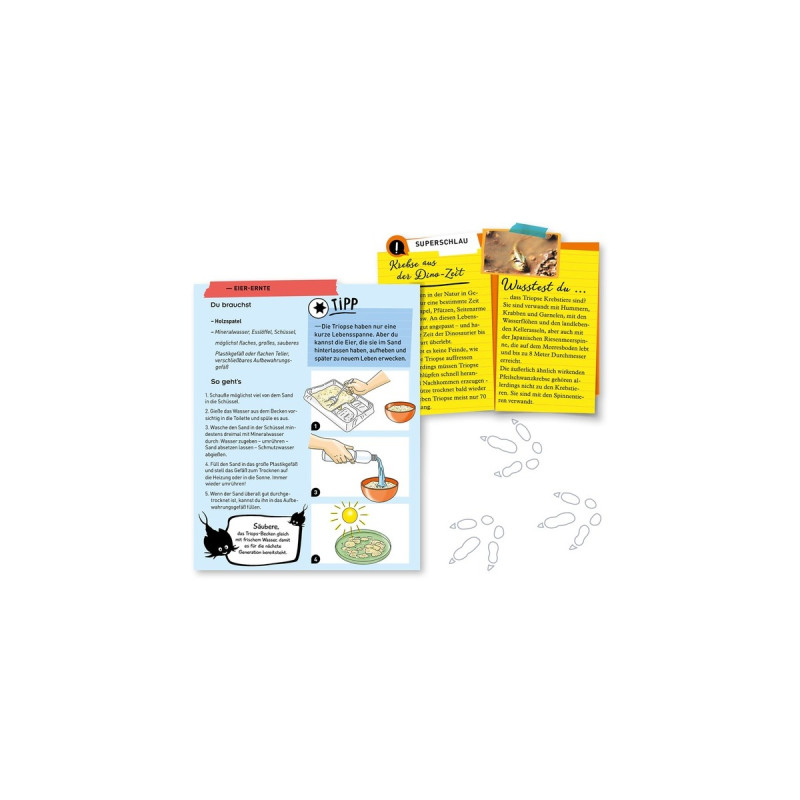 KOSMOS Fun Science Triops züchten, Experimentierkasten