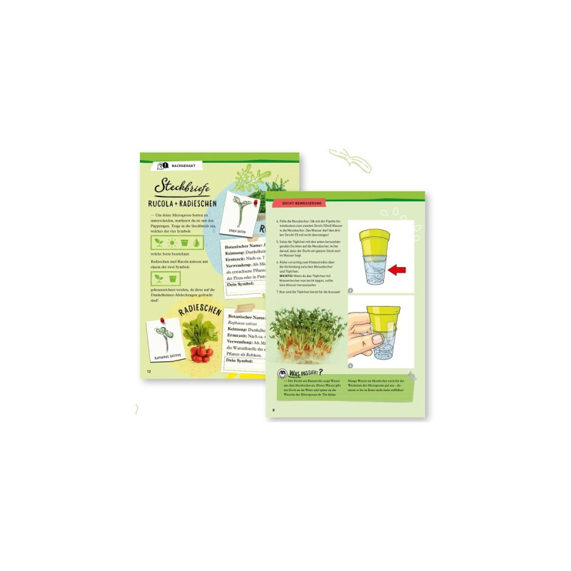 KOSMOS Microgreen-Garten, Experimentierkasten
