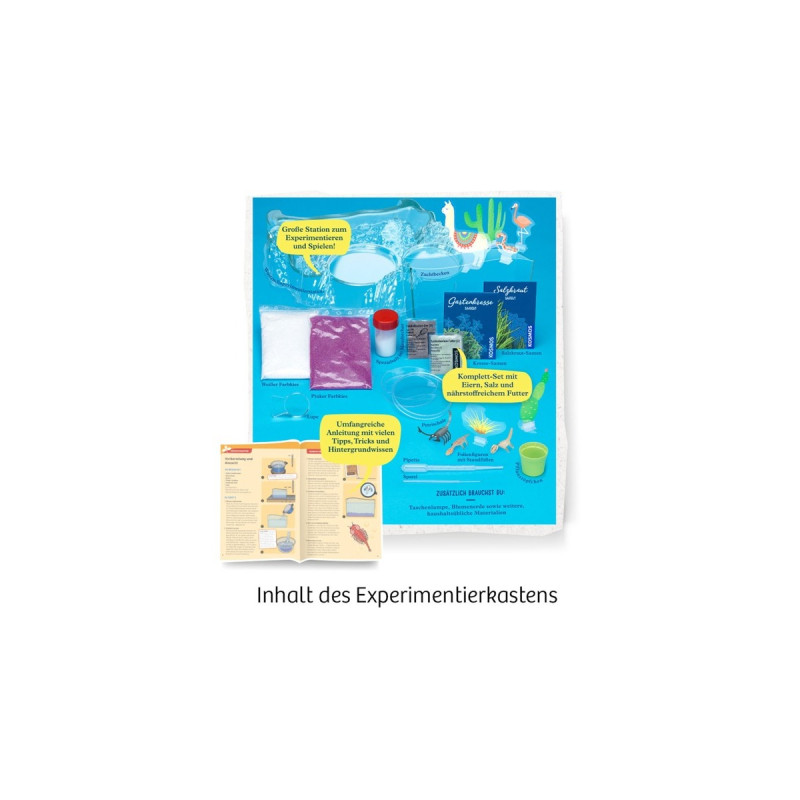 KOSMOS Salzkrebse, Experimentierkasten