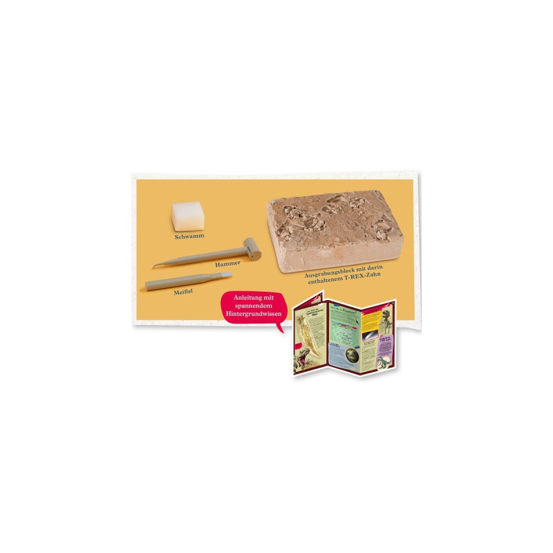 KOSMOS T-Rex Zahn, Experimentierkasten
