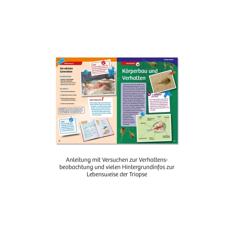 KOSMOS Triops-Welt, Experimentierkasten