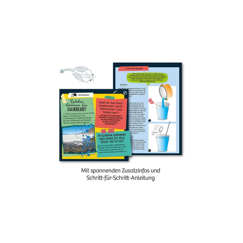 KOSMOS Urzeit-Krebse, Experimentierkasten