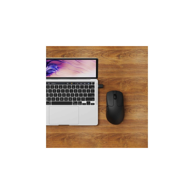 Keychron M2 Mini Wireless, Gaming-Maus(schwarz)