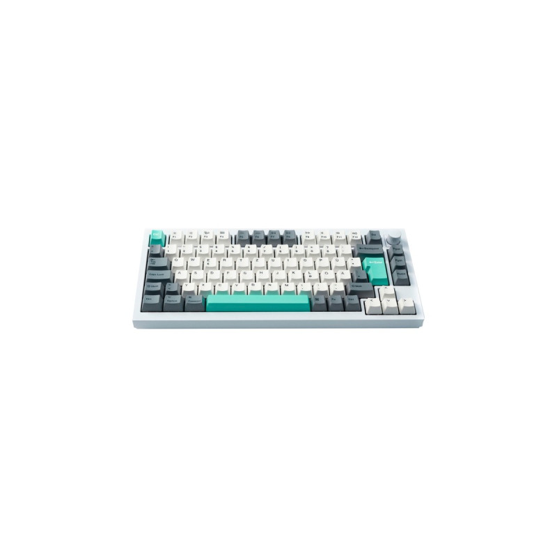 Keychron OEM Dye-Sub PBT Full Keycap-Set - Gray White Mint, Tastenkappe(weiß/mint, 137 Stück, DE-Layout (ISO))