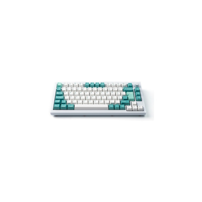 Keychron OEM Dye-Sub PBT Full Keycap-Set - White Mint, Tastenkappe(weiß/mint, 137 Stück, DE-Layout (ISO))