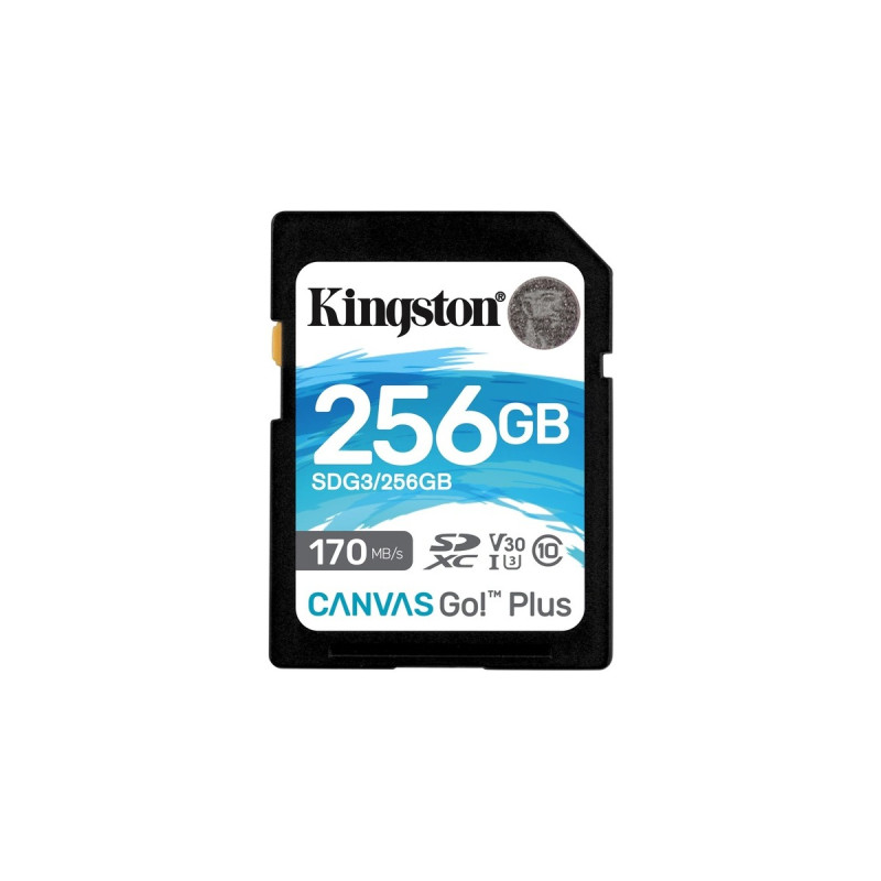 Kingston Canvas Go! Plus 256 GB SDXC, Speicherkarte(schwarz, UHS-I U3, Class 10, V30)