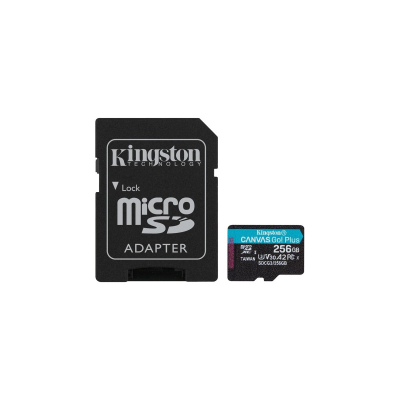 Kingston Canvas Go! Plus 256 GB microSDXC, Speicherkarte(schwarz, UHS-I U3, Class 10, V30, A2)