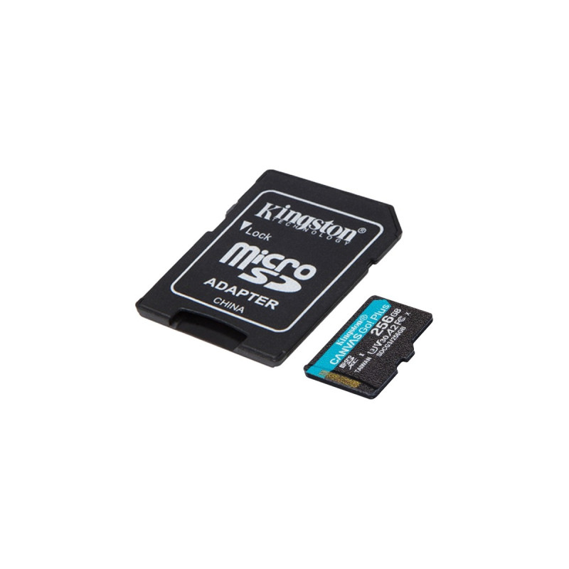 Kingston Canvas Go! Plus 256 GB microSDXC, Speicherkarte(schwarz, UHS-I U3, Class 10, V30, A2)