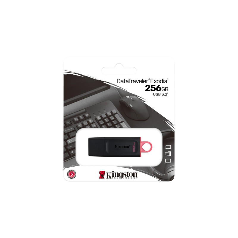 Kingston DataTraveler Exodia 256 GB, USB-Stick(schwarz/rot, USB-A 3.2 Gen 1)