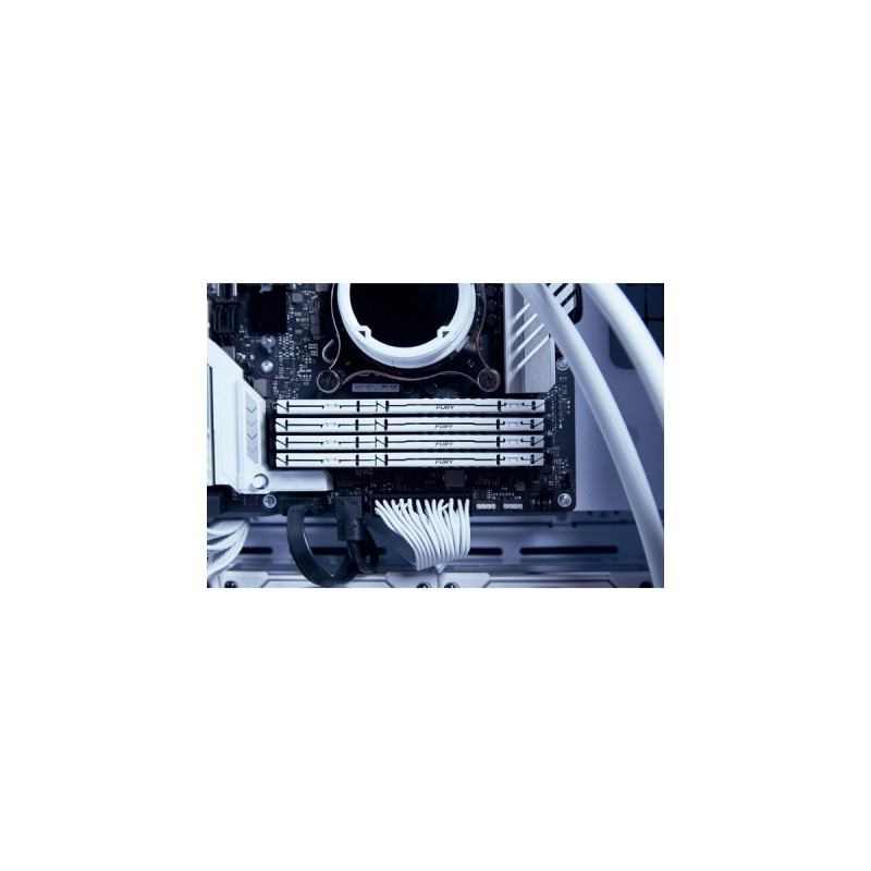 Kingston FURY DIMM 32 GB DDR5-6000 (2x 16 GB) Dual-Kit, Arbeitsspeicher(weiß, KF560C36BWEK2-32, Beast, INTEL XMP, AMD EXPO)