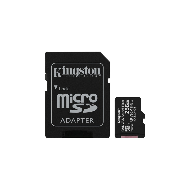 Kingston R100 256 GB microSDXC, Speicherkarte(schwarz, UHS-I U3, Class 10, V30, A2)