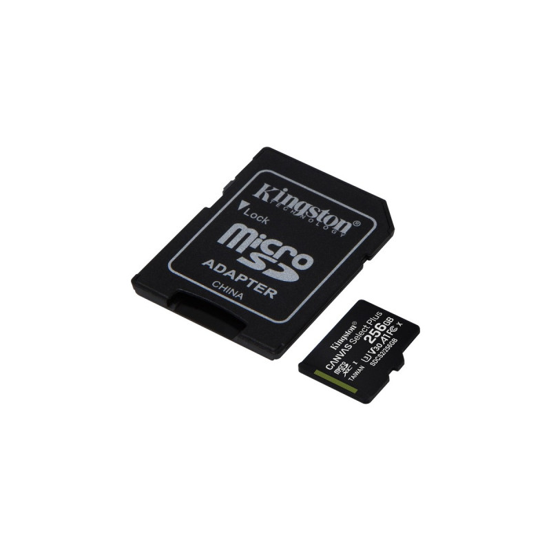 Kingston R100 256 GB microSDXC, Speicherkarte(schwarz, UHS-I U3, Class 10, V30, A2)