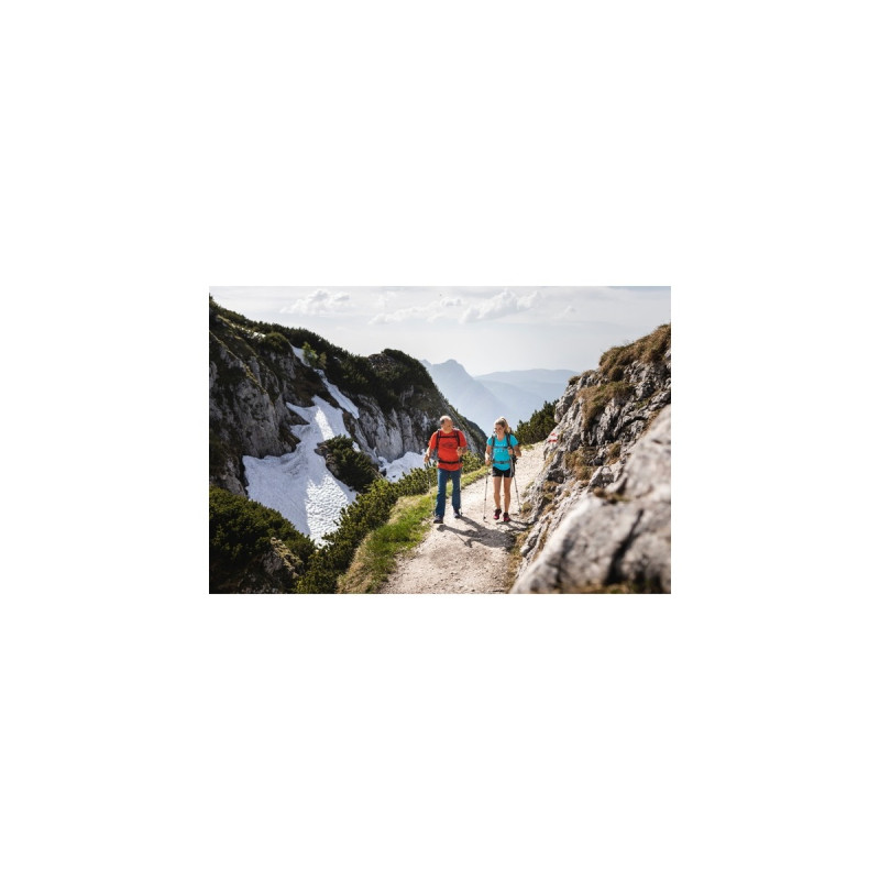 Komperdell Shockmaster Cork Powerlock Compact, Fitnessgerät(braun/schwarz, 1 Paar, 90-120 cm)