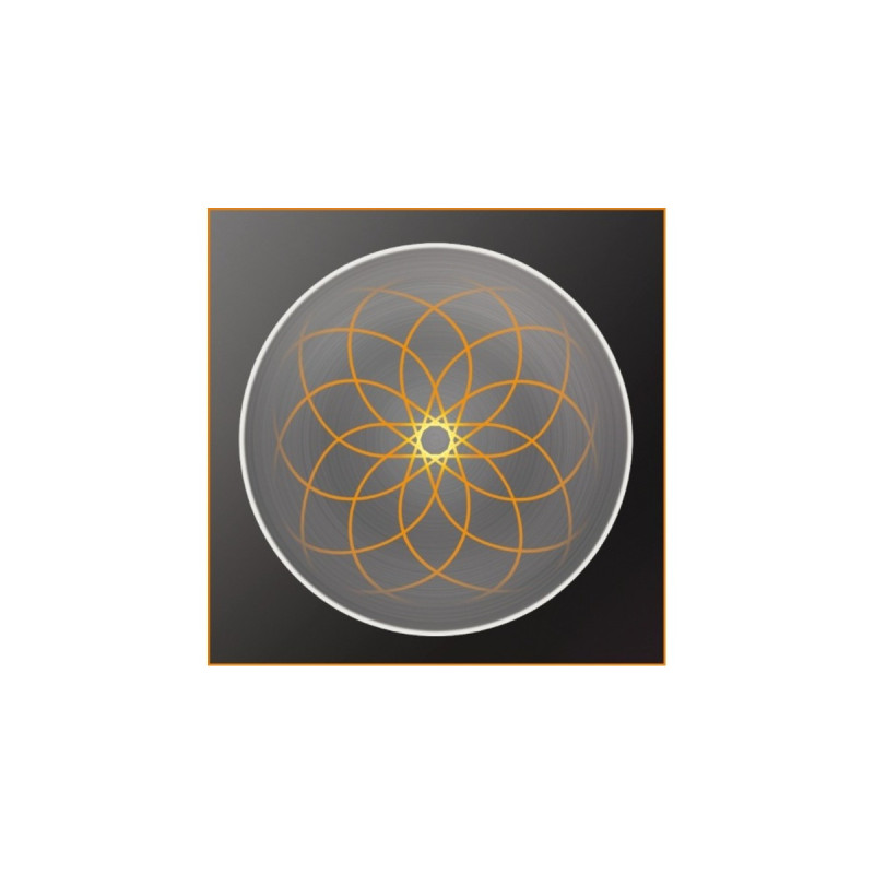 Krups Master Perfect Küchenmaschine KA3121(weiß/schwarz, 1.000 Watt)