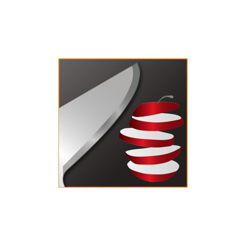 Krups Steffen Henssler Special Edition HZ 6568, Stabmixer(silber/dunkelgrau)