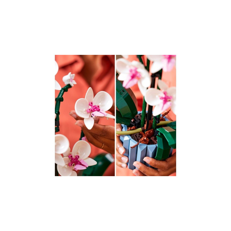 LEGO 10311 Creator Expert Orchidee, Konstruktionsspielzeug