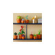LEGO 10329 Icons Mini Pflanzen, Konstruktionsspielzeug