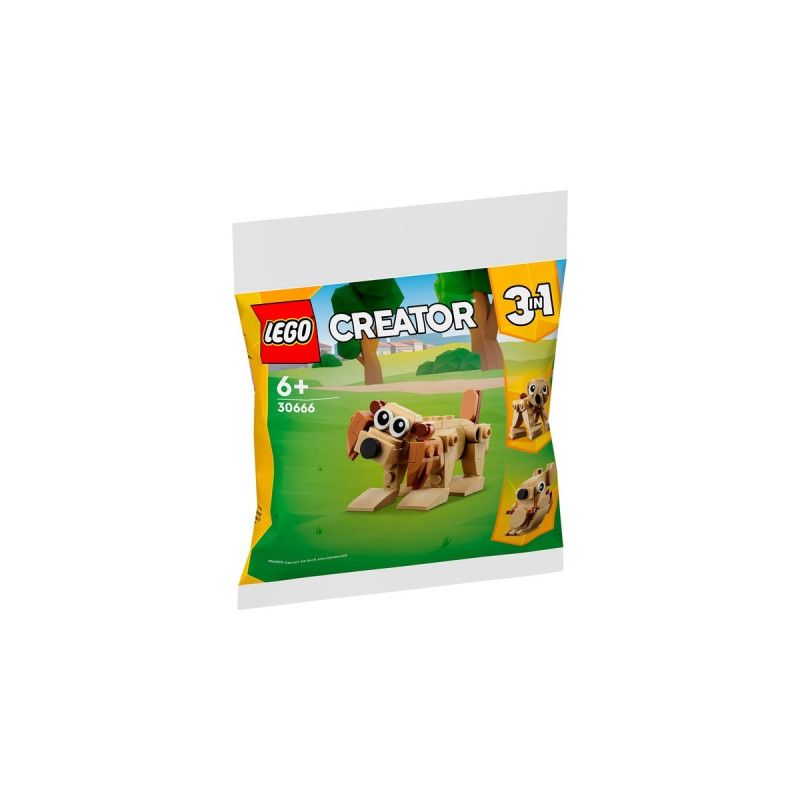 LEGO 30666 Creator 3-in-1 Geschenkset mit Tieren, Konstruktionsspielzeug