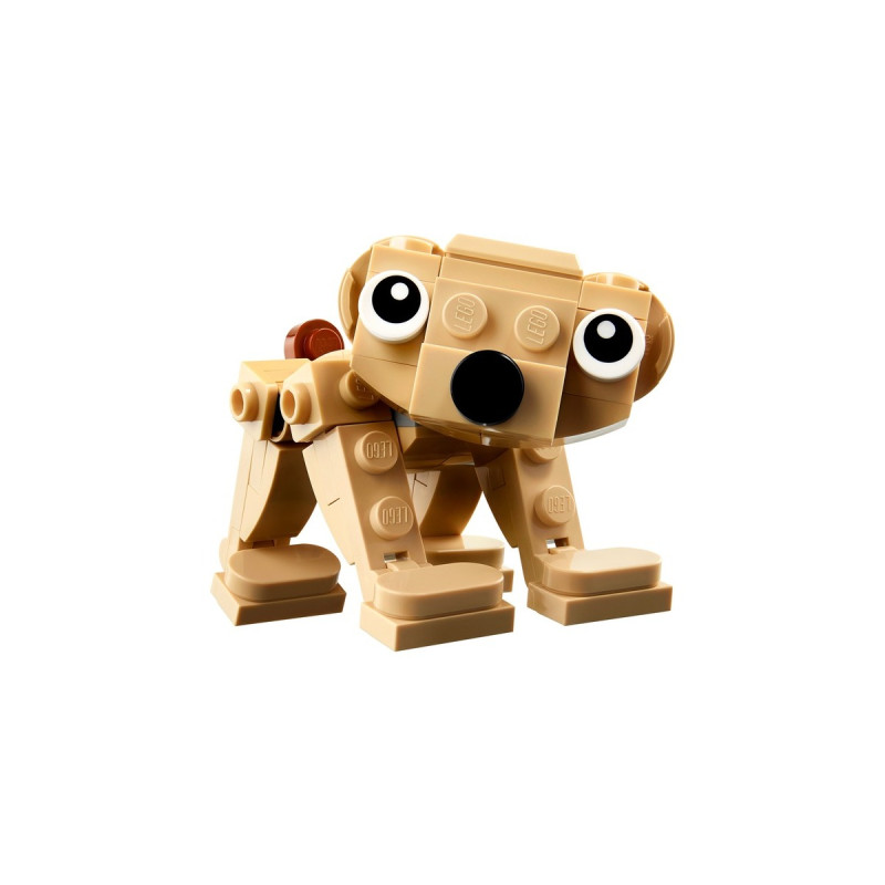 LEGO 30666 Creator 3-in-1 Geschenkset mit Tieren, Konstruktionsspielzeug