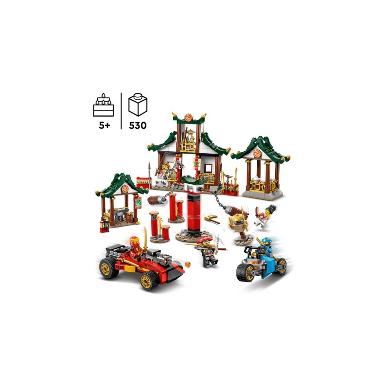 LEGO 71787 Ninjago Kreative Ninja Steinebox, Konstruktionsspielzeug