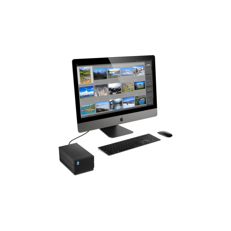LaCie 2big RAID 16 TB, Externe Festplatte(schwarz, USB-C 3.2 (10 Gbit/s))