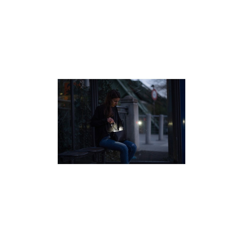 Ledlenser K6R Safety, LED-Leuchte(roségold)