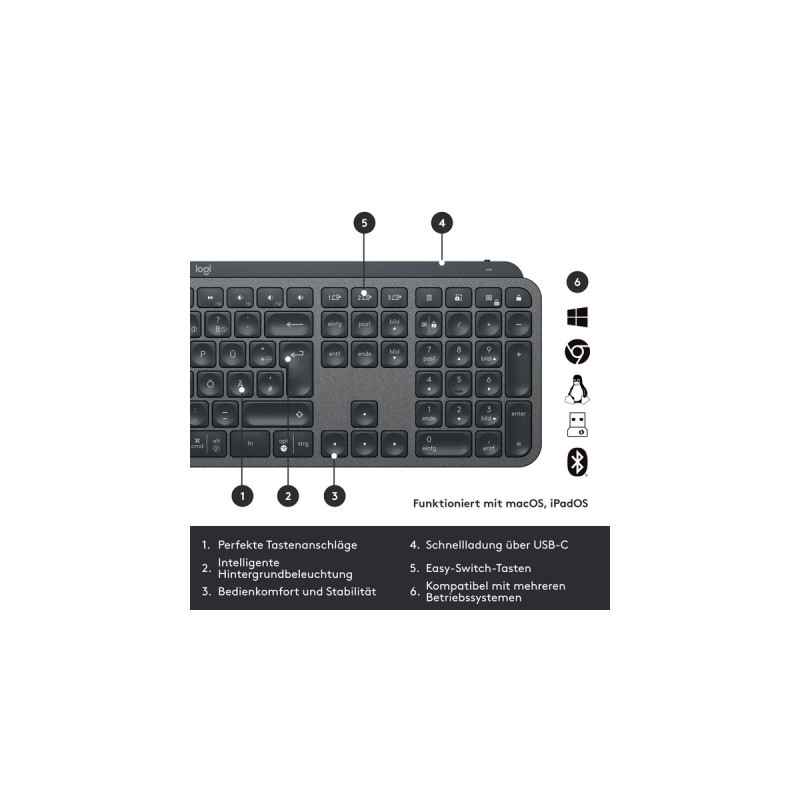 Logitech MX Keys Combo for Business Gen 2, Desktop-Set(graphit, DE-Layout, Scissor-Switch, Logi Bolt, Bluetooth, kompatibel mit PC/Mac/iPad/Android)