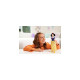 Mattel Disney Prinzessin Schneewittchen-Puppe, Spielfigur