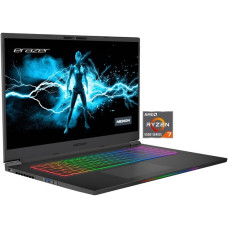 Medion ERAZER Beast X25 (30033700), Gaming-Notebook(schwarz, Windows 11 Home 64-Bit, 43.9 cm (17.3 Zoll) & 165 Hz Display, 1 TB SSD, Outlet)