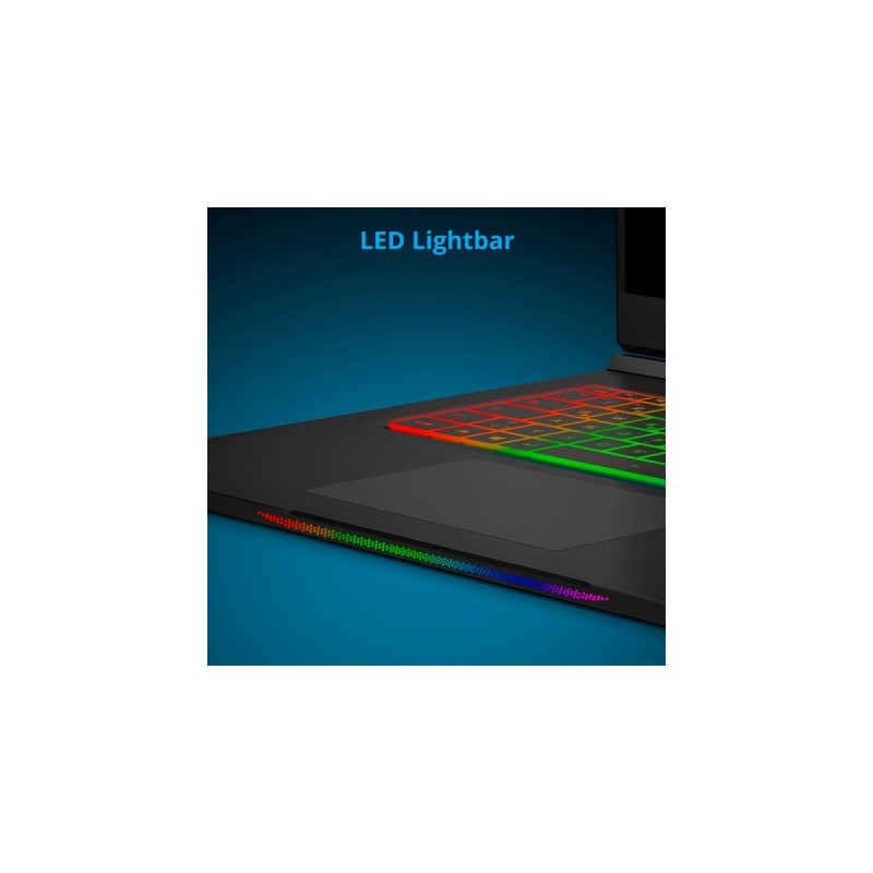 Medion ERAZER Beast X25 (30034140), Gaming-Notebook(schwarz, Windows 10 Home 64-Bit, 43.9 cm (17.3 Zoll) & 240 Hz Display, 1 TB SSD)