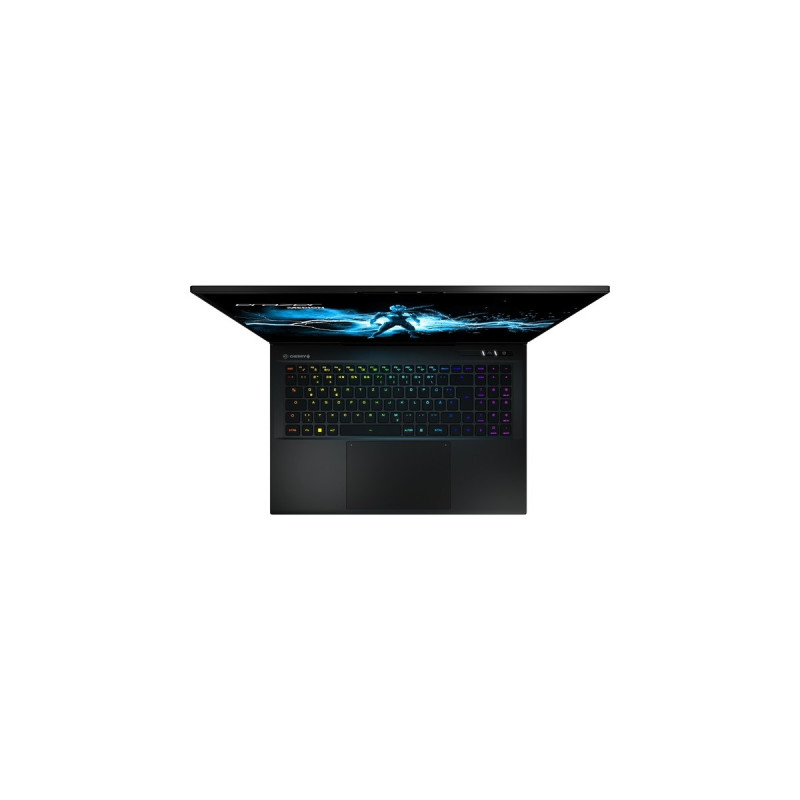 Medion ERAZER Beast X40 (MD62507), Gaming-Notebook(schwarz, Windows 11 Home 64-Bit, 43.2 cm (17 Zoll) & 240 Hz Display, 2 TB SSD)