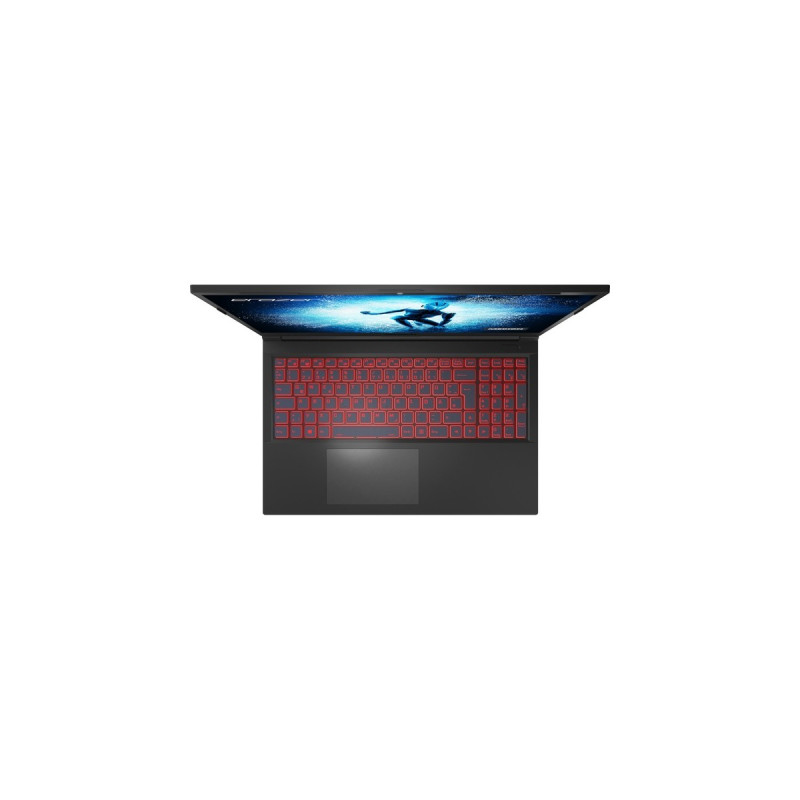 Medion ERAZER Deputy P30 (MD62393), Gaming-Notebook(schwarz, Windows 11 Home 64-Bi, 39.6 cm (15.6 Zoll) & 144 Hz Display, 1 TB SSD)