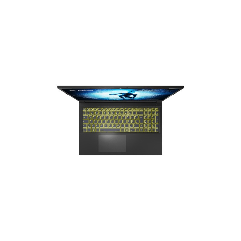 Medion ERAZER Deputy P30 (MD62393), Gaming-Notebook(schwarz, Windows 11 Home 64-Bi, 39.6 cm (15.6 Zoll) & 144 Hz Display, 1 TB SSD)