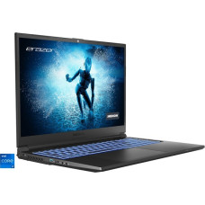 Medion ERAZER Specialist P10 (30033735), Gaming-Notebook(schwarz, Windows 11 Home 64-Bit, 40.6 cm (16 Zoll) & 165 Hz Display, 1 TB SSD)