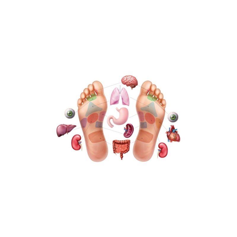 Medisana Fußmassagegerät FM 900(grau)